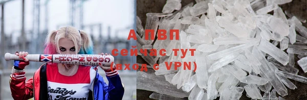 mdpv Бородино