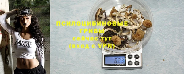 шишки Бугульма