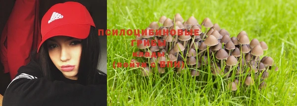 прущий лед Осташков
