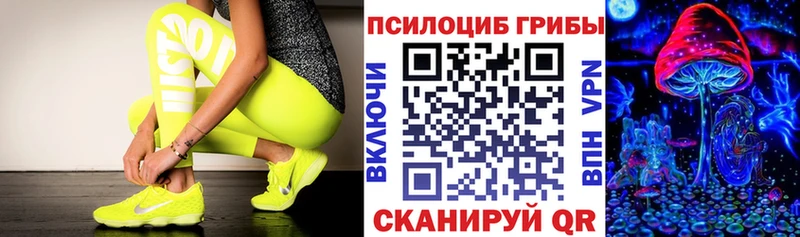 продажа наркотиков  Теберда  гидра рабочий сайт  Галлюциногенные грибы GOLDEN TEACHER 